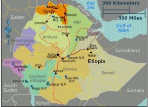 Guerra en Etiopia: Combatamos Todo Nacionalismo y Patriotismo